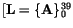 $[{\tt\bf L}= \{{\tt\bf A}\}_0^{39}$